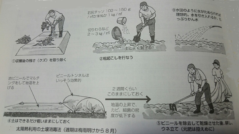 水なす石灰窒素で消毒