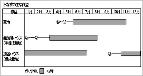 水なす・作型