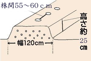 水なす；畝を立てる